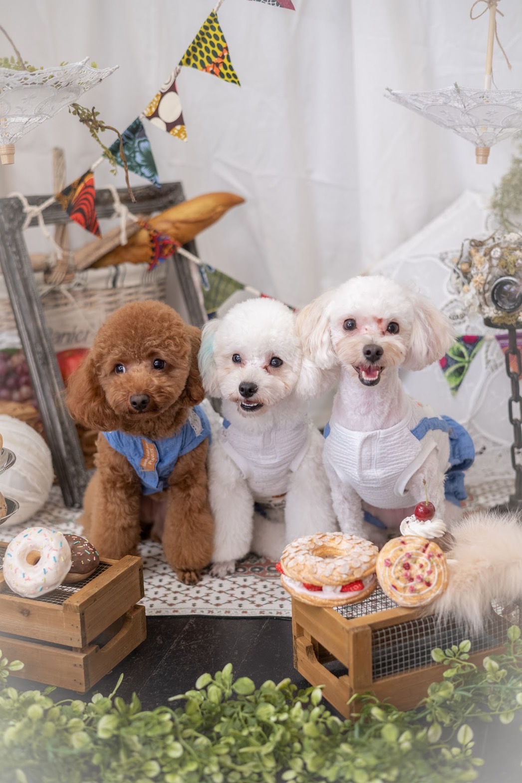 犬服のお悩み解決】リメイク店でサイズ直しもオーダーもできる